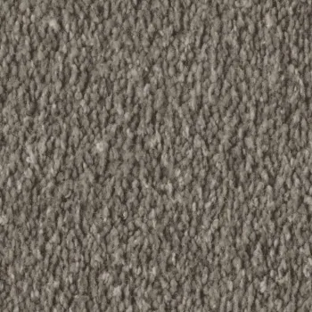 Vorwerk Alba 8L47 nutria – Draufsicht Velours Teppichboden 4 m breit